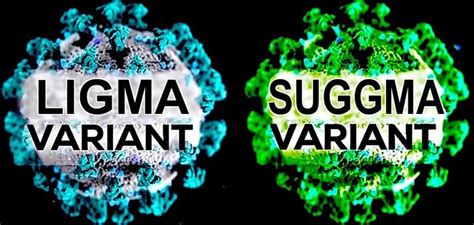 Ligma variants " If the terms 'Coronavirus' and 'Delta variant' are capable of harming the reputations of Corona beer and Delta Air Lines, perhaps we should name new Covid-19 variants after unethical companies