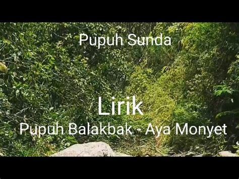 Lirik pupuh balakbak aya monyet  Rame pisan ku nu jajan