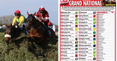 List of grand national 2023 runners Grand National Sweepstake 2023