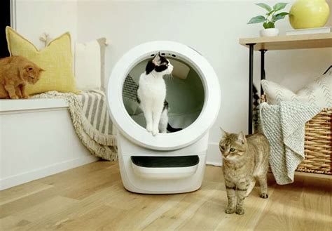 Litter-robot rebates  An average litter box is fairly compact—personally, our old one was 15 inches by 19 inches with 8-inch walls