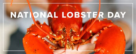 Lobster fishing hay day  Events