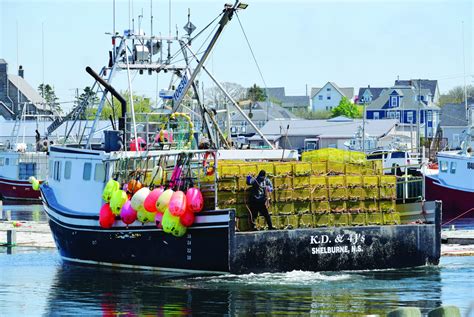 Lobster fishing hay day Article continues below this ad