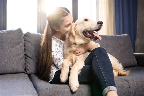 Local dog sitters  This pet sitting rate will vary depending on the services needed, the number of pets to be cared for, and the total amount of hours per day/week