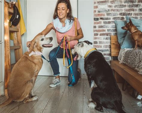Local pet sitters near me  Some pet sitters will charge a fixed rate per day if full-time care is requested