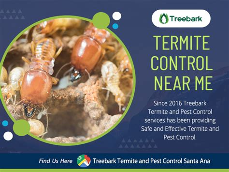 Local termite exterminator glencoe al Best Pest Control in Reston, VA - Antex Pro Pest Control, Arterix Pest Control, Recon Pest Control Inc, Veteran Pest & Wildlife Services, BioTech Pest Management, Pest Now of Virginia, JK Pest & Termite, S