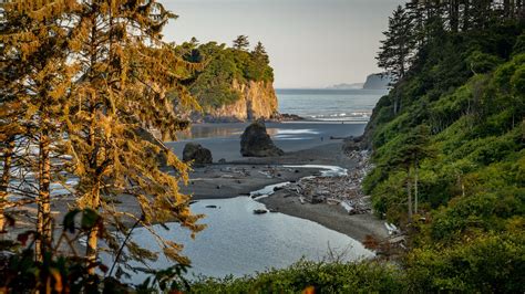Lodging near ruby beach  Petersburg on Tripadvisor: Find 16,431 traveler reviews, 30,580 candid photos, and prices for 791 hotels near Ruby's Elixir in St