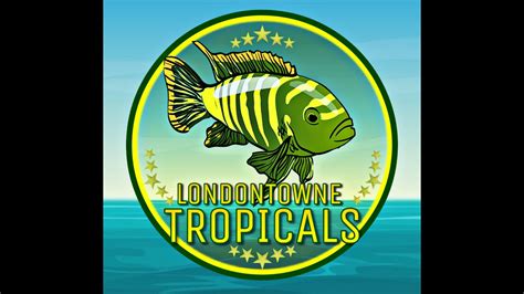 Londontowne tropicals 