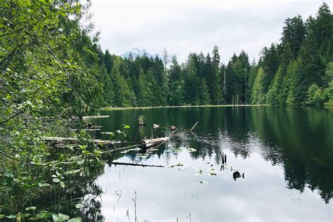 Loon lake port alberni  The western most portion is called Bridge Pool and is accessed from the bridge that crosses the Nitinat River