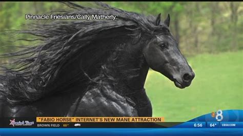 Lorenzo viota stallion fabio Qui est Lorenzo Viota ? Lorenzo Viota est un acteur, réalisateur et mannequin français de renom qui participera activement à cette compétition