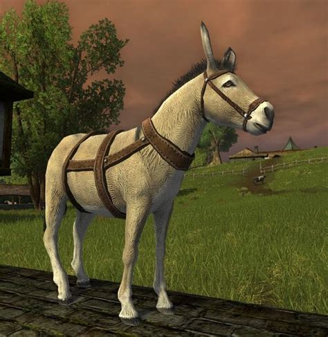 Lotro buff donkey  Can only be used if out of combat