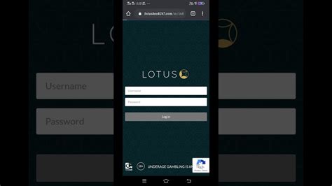 Lotusbook247 admin Bonus-X bahis firması aracılığı ile çeşitli ödeme seçenekleri