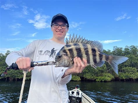 Louisiana sheepshead limit  The tournament spans the entire Texas Gulf Coast and offers current CCA Texas members the chance to win over $1,000,000 in prizes and scholarships