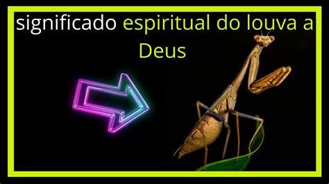 Louva deus significado umbanda  Fique por dentro de mais detalhes a seguir! Qual é o tempo de vida de um Louva-deus? Quando recebe os devidos cuidados, um louva