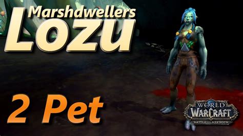 Lozu pet battle  Bring out Stitched Pup and Consume Corpse 13