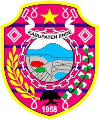 Lpse kabupaten ende  1