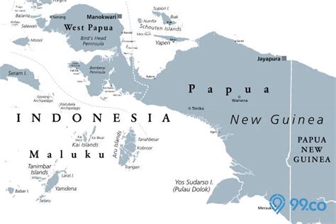 Luas papua dan maluku Jurnal Primatologi Indonesia, Vol