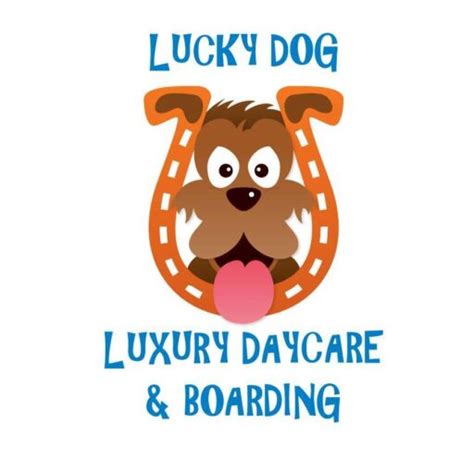 Lucky dog daycare  But, once he’s passed that testing period, your dog is free to spend his days socializing and playing with his new friends