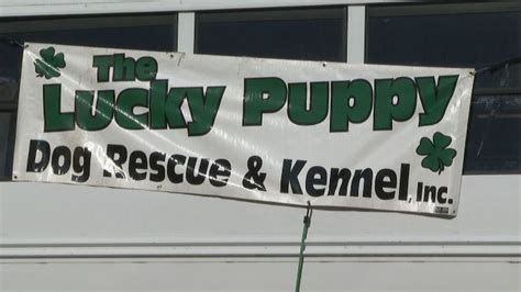 Lucky puppy rescue panama city New Lucky Puppy Koozies available tomorrow at Bay Pride for a donation