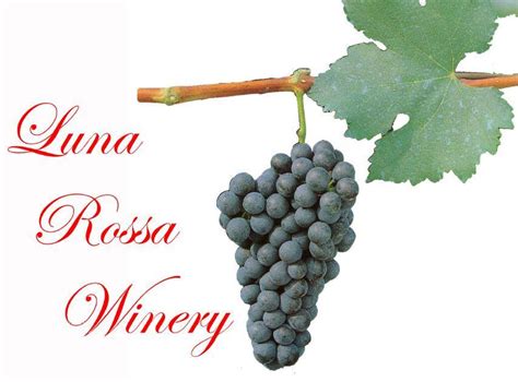 Luna rossa winery & pizzeria menu Luna Rossa Winery & Pizzeria, Las Cruces: See 457 unbiased reviews of Luna Rossa Winery & Pizzeria, rated 4