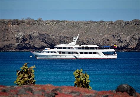 Luxury yacht charter tenerife  This price is typical for a 30-foot sailboat with two cabins