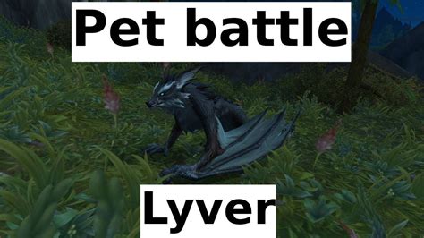 Lyver pet battle Battle on the Dragon Isles II Complete 8 Pet Battle World Quests on the Dragon Isles with a full team of level 25 pets