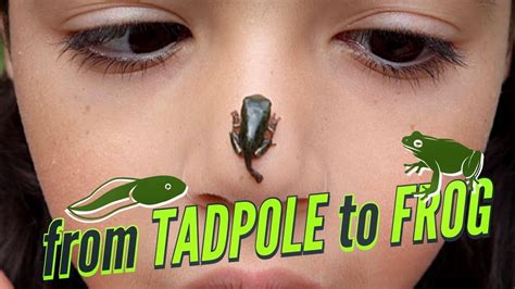 Madison wilde tadpole orgy  1 245