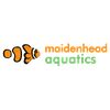 Maidenhead aquatics  Reply from Maidenhead Aquatics