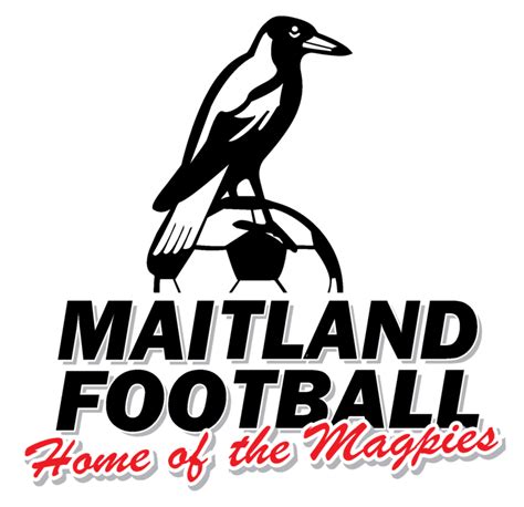 Maitland fc futbol24  Disclaimer: Although every possible effort is made to ensure the accuracy of our services we accept no responsibility for any kind of use made of any kind of data and information provided by this site