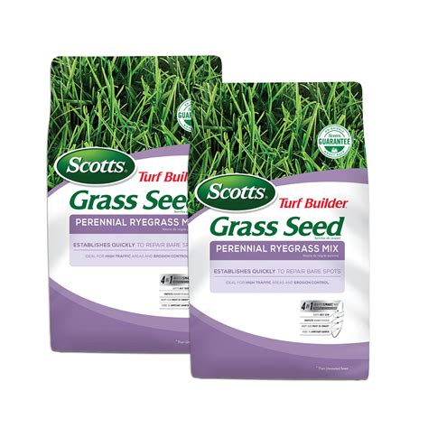 Majestic bermuda grass seed  Grass Seed Bare Spot Repair with Mulch and Fertilizer