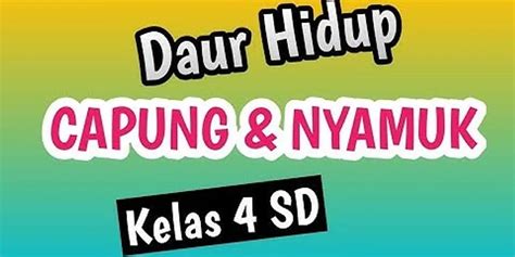 Makna kosakata daur hidup yang tepat adalah  buatlah Bagan daur hidup masing masing jenis hewan