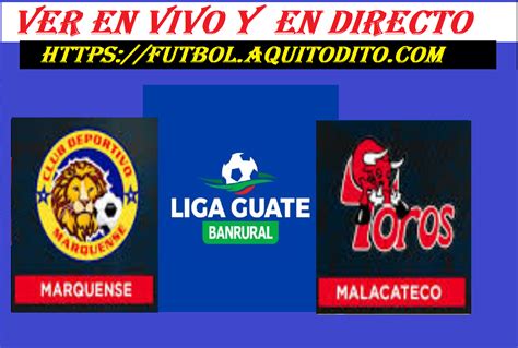 Malacateco futbol24 Disclaimer: Although every possible effort is made to ensure the accuracy of our services we accept no responsibility for any kind of use made of any kind of data and information provided by this site