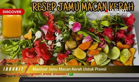 Manfaat jamu macan kerah untuk pria  14 Februari jadi peringatan Hari Valentine