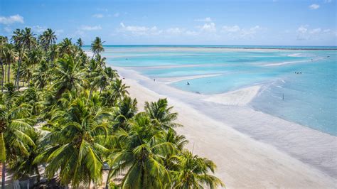 Maragogi tabua de mares  Para visitar as piscinas naturais em Alagoas