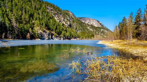 Marble canyon provincial park campground  The Marble Canyon Park is in a beautiful setting in a mountainous valley