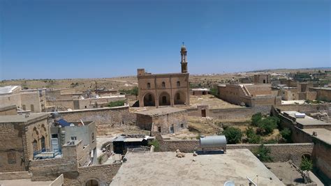 Mardin escoet  Kikiriki je bogat zdravim masnoćama koje snižavaju štetni holesterol, te tako štite srce i cjelokupan kardiovaskularni sistem