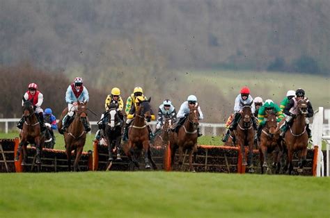 Mares novice hurdle cheltenham <b>The seven-year-old landed the Mares' Novices' Hurdle here in 2020 and has won two graded races this season</b>