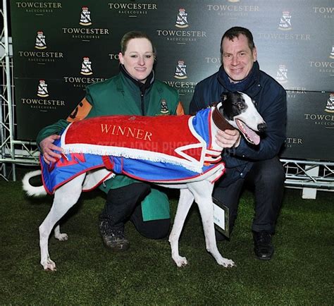Mark wallis greyhounds for sale 2005 / 2008 / 2009 / 2012 2013 / 2014 / 2015 / 2016 2017/2018/2019/2021/20222005 / 2008 / 2009 / 2012 2013 / 2014 / 2015 / 2016 2017/2018/2019/2021/2022Obviously all eyes are on the William Hill Greyhound Derby that gets underway this week and I will review our chances below