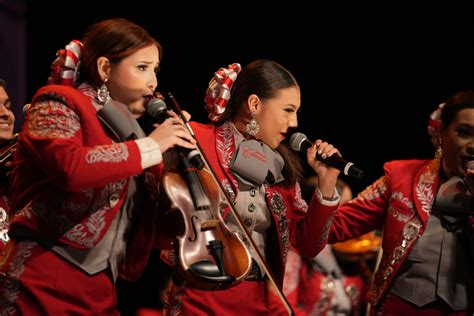 Marriachi fiesta spielen  Sie können uns von einem Trio, einem Quartett bis zu einem Mariachi-Ensemble kontaktieren