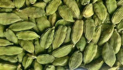 Xxx Cardamom - 10 Desi Foods to Totally Boost the Sex Drive for Men | DESIblitz