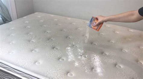 Mattress cleaning oxenford  Only those who wish to have their mattresses spotlessly clean and absolutely hygienic come