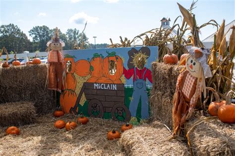 Mcclain pumpkin patch  A seed of an idea blossomed into a three-acre pumpkin patch and thousands of pumpkins