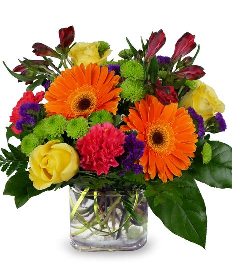 Mcnamara florist fort wayne <b>secivreS ytiruceS raM reP </b>