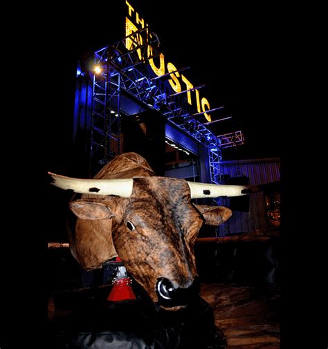 Mechanical bull rental dallas  We pecializes in mechanical bull rentals for all types of events