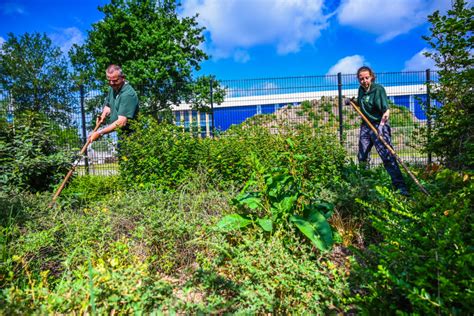 Medewerker groenvoorziening dordrecht  Elke dag is anders, van heggen snoeien tot gras maaien, onkruid branden en bomen snoeien