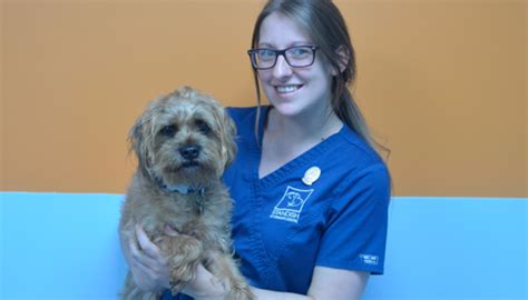 Medivet standish reviews  We do this by delivering exceptional care 24 hours a day, 365 days a year