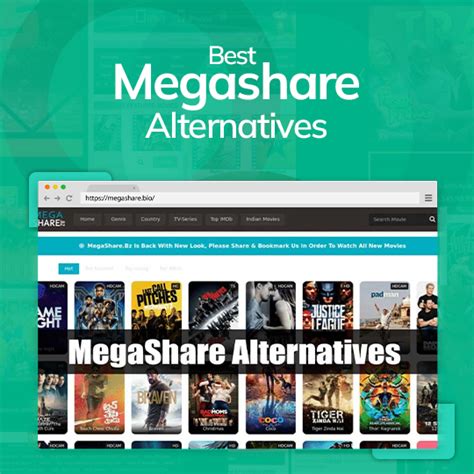 Megashare fortitude Investment thesis