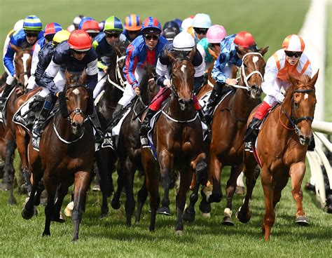 Melbourne cup 2020 horses  The shortest of the Geelong Cup nominated horses for the Melbourne Cup is Interpretation at $21