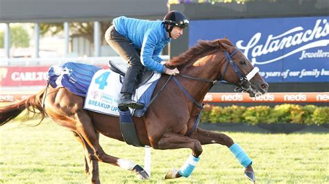 Melbourne cup 2021 horses and odds  Ready for a big day at Wingatui