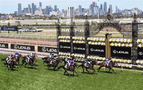 Melbourne cup field 2021  Credit: Alan Crowhurst/Getty Images