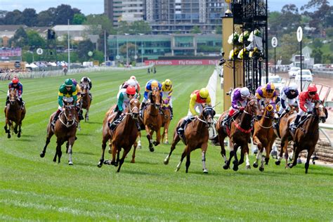 Melbourne cup horses 2023 favourites  In 2023, three eight year olds will take their spot